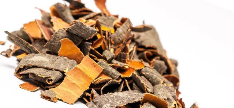 Aspen bark for making broths and infusions that increase male potency