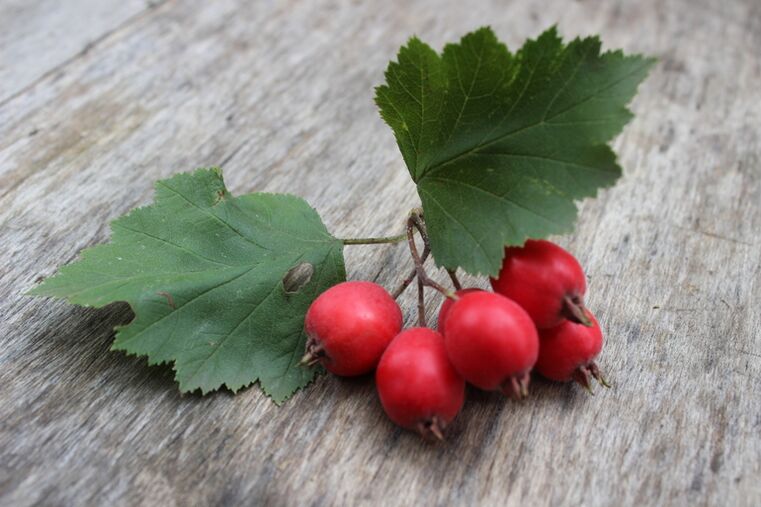 Blackberries increase male libido and strengthen erection