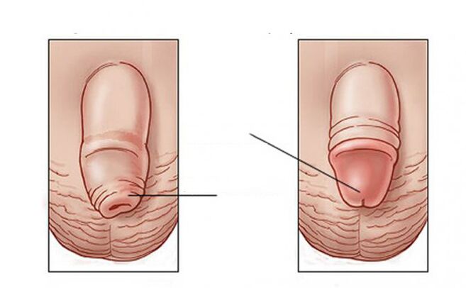 What task the lubricant does