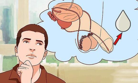 discharge in men when they are excited